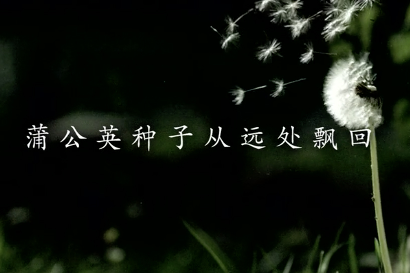 Ӵڹ棺ʱ⵹㻹