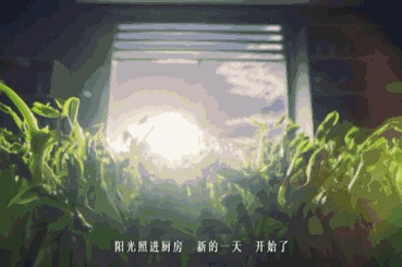 ̫һ硷