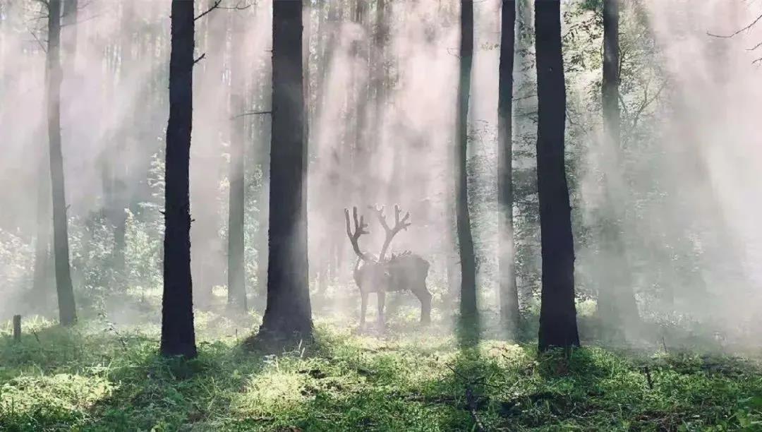 ¶Ȱѡа