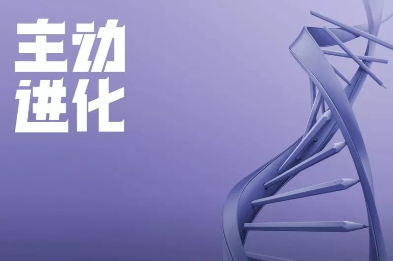 2019ʮĽ4AӡƷȫ