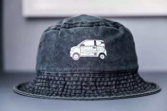 MINI EVζˣ