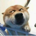 ƴԪŨŨ¹磬ٱŨŨζĽϣ