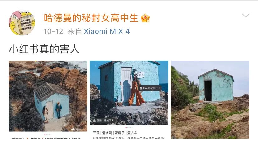 С鷭