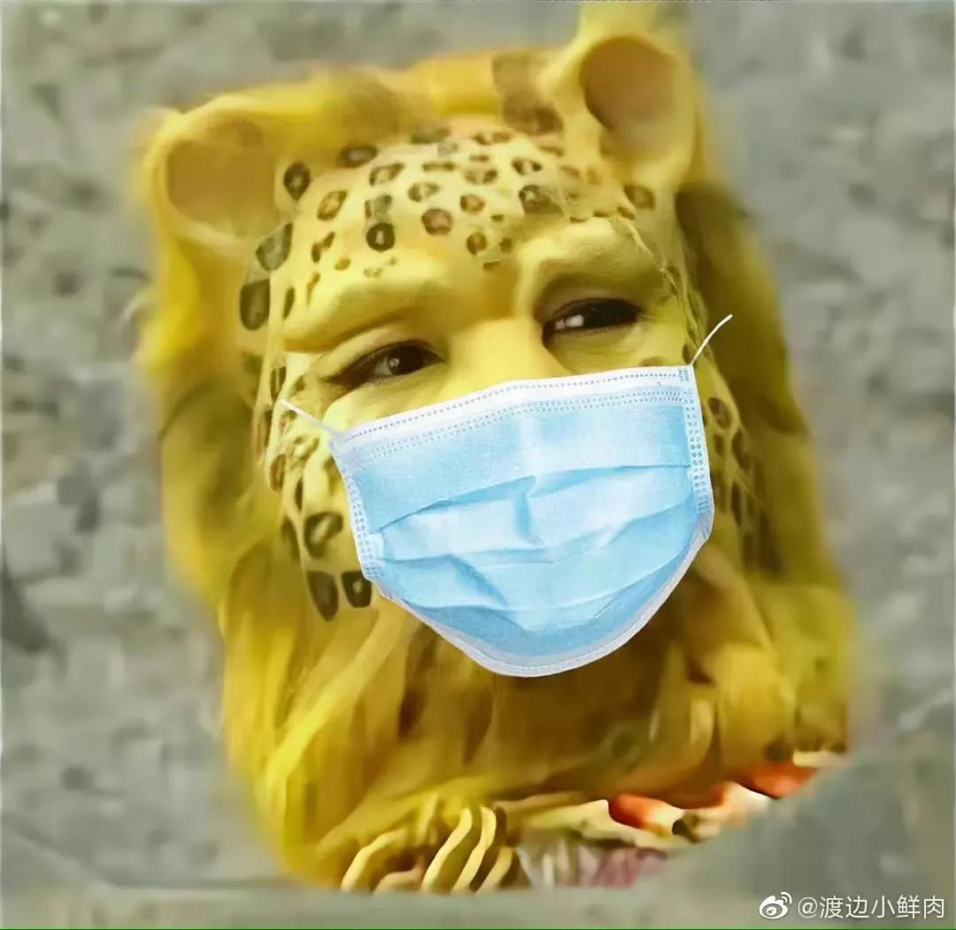 궥ǮǸʲôͷ