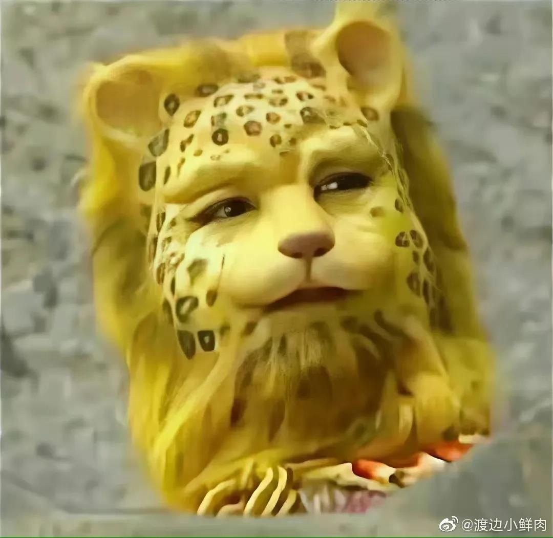 궥ǮǸʲôͷ